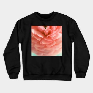 Samba Crewneck Sweatshirt